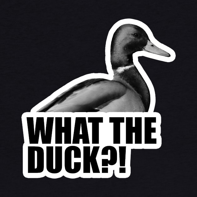 What The Duck?! by timbo